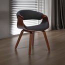 Esszimmerstuhl aus Holz Designerstuhl mit Kunststoff-Sitzschale Moderner Skandi-Look Für Küche & Esszimmer Einzelstuhl