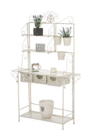 XL Pflanzregal Shine aus Eisen - kleinigkeits.de