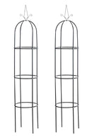Rosensäule Romantika V2