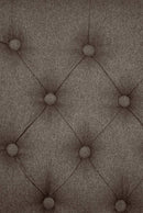 Eleganter Esszimmerstuhl mit Samtbezug bequemer Polsterstuhl in verschiedenen Farben