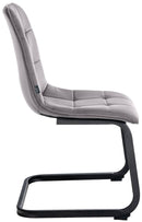 Elegantes 2er-Set Freischwinger Esszimmerstühle mit Samtbezug und Metallgestell