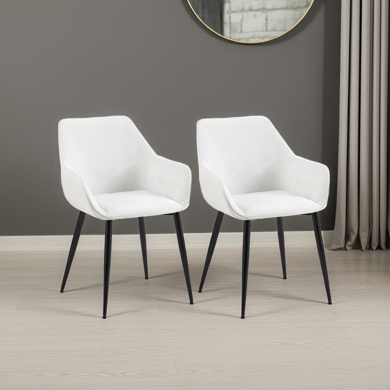 2er Set Esszimmerstühle Moderner Stuhl  Gestell aus Stahl Für Küche, Esszimmer, Café