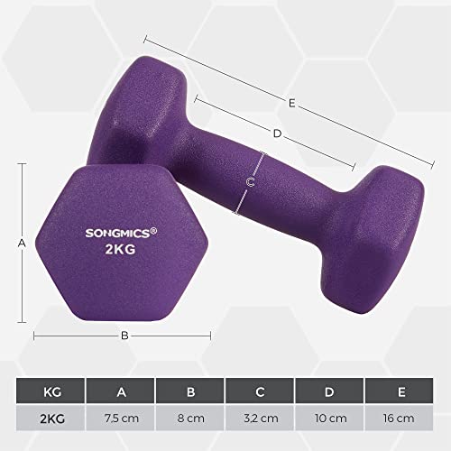 Dumbbells Set of 2 2 x 2kg Non-Slip Dumbbells with Matte Coating Neoprene Home Training Strength Training Purple SYL64PL