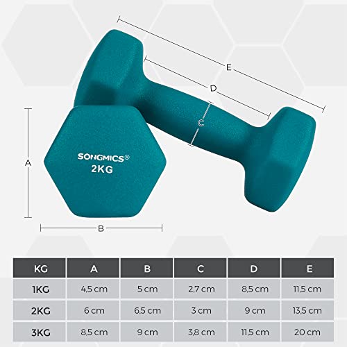 Hex Dumbbells Set with Stand - 2 x 1 kg, 2 x 2 kg, 2 x 3 kg, Neoprene Matte Finish, Hand Weights for Home Exercise, Lime, Teal, and Light Grey SYL612GN