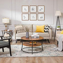 Kaffeetisch, Runder Cocktailtisch mit Ablage, Teetisch, einfache Montage, Metall, Industriedesign, Rustikales Braun